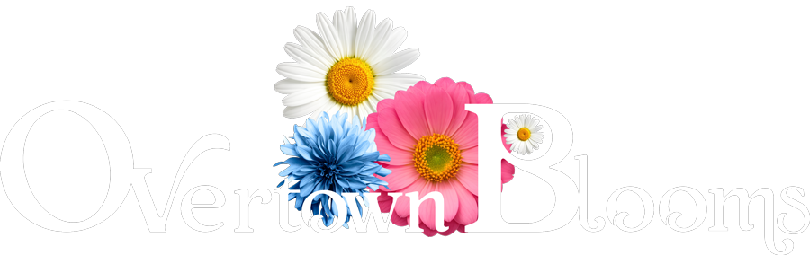 Overtown Blooms